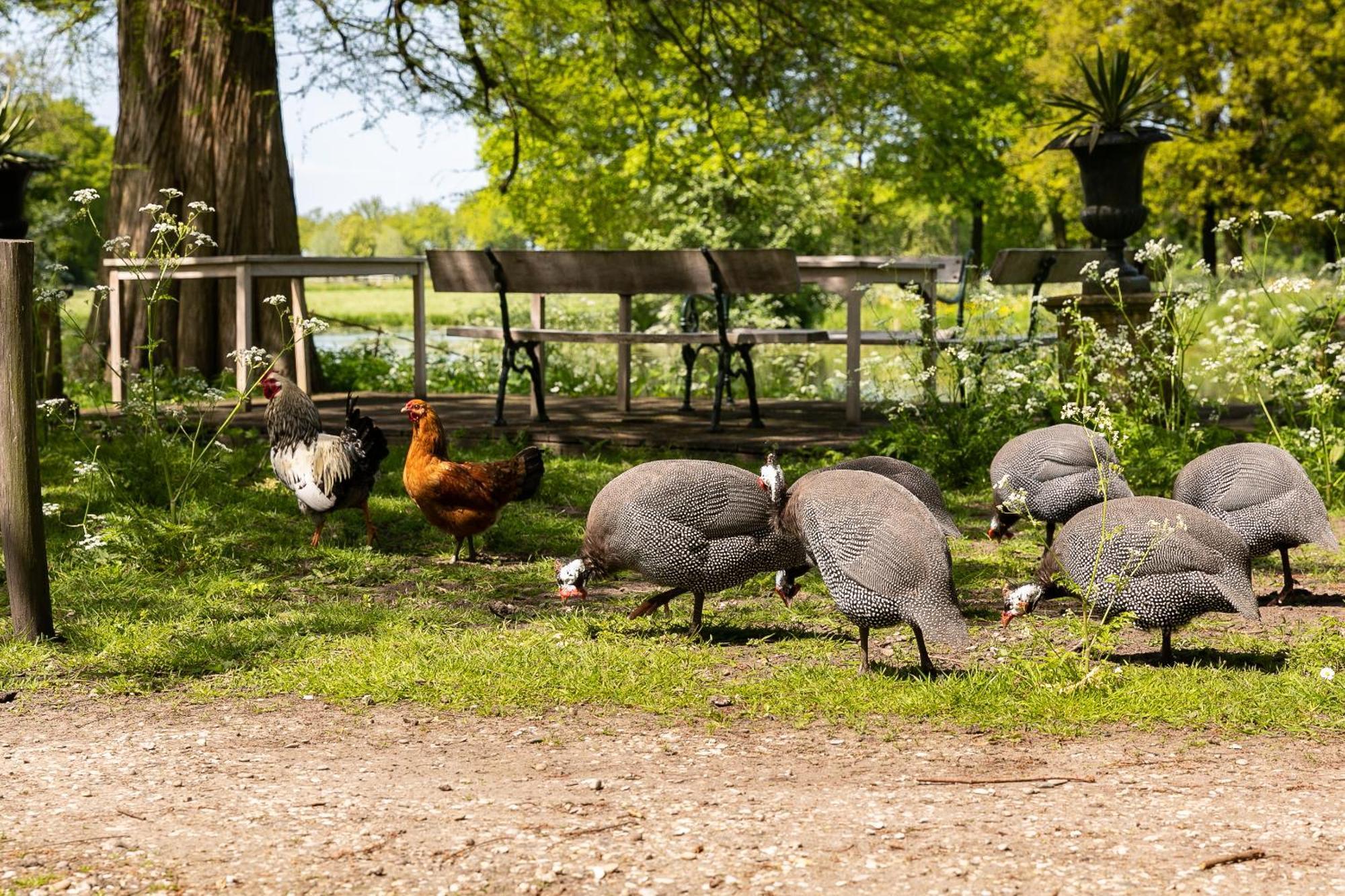 Kasteel Sterkenburg Driebergen Kültér fotó